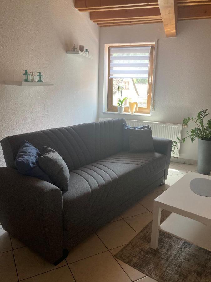 Holzkirchen  Dz Im Haus Maja 아파트 외부 사진